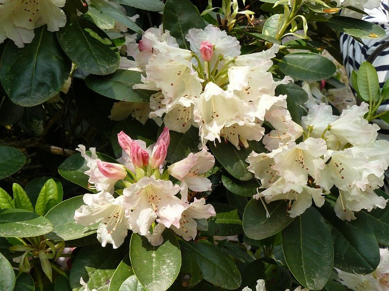 2008 05 Séjour à Martel 11